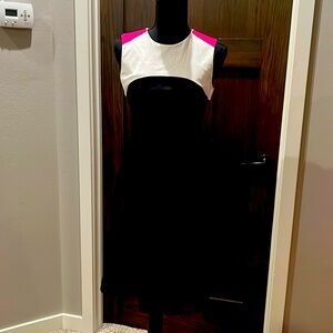 Size 2 Calvin Klein Black/Pink/White Dress